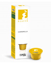 Camomilla 