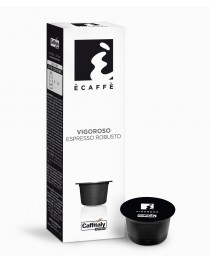 VIGOROSO Espresso Robusto